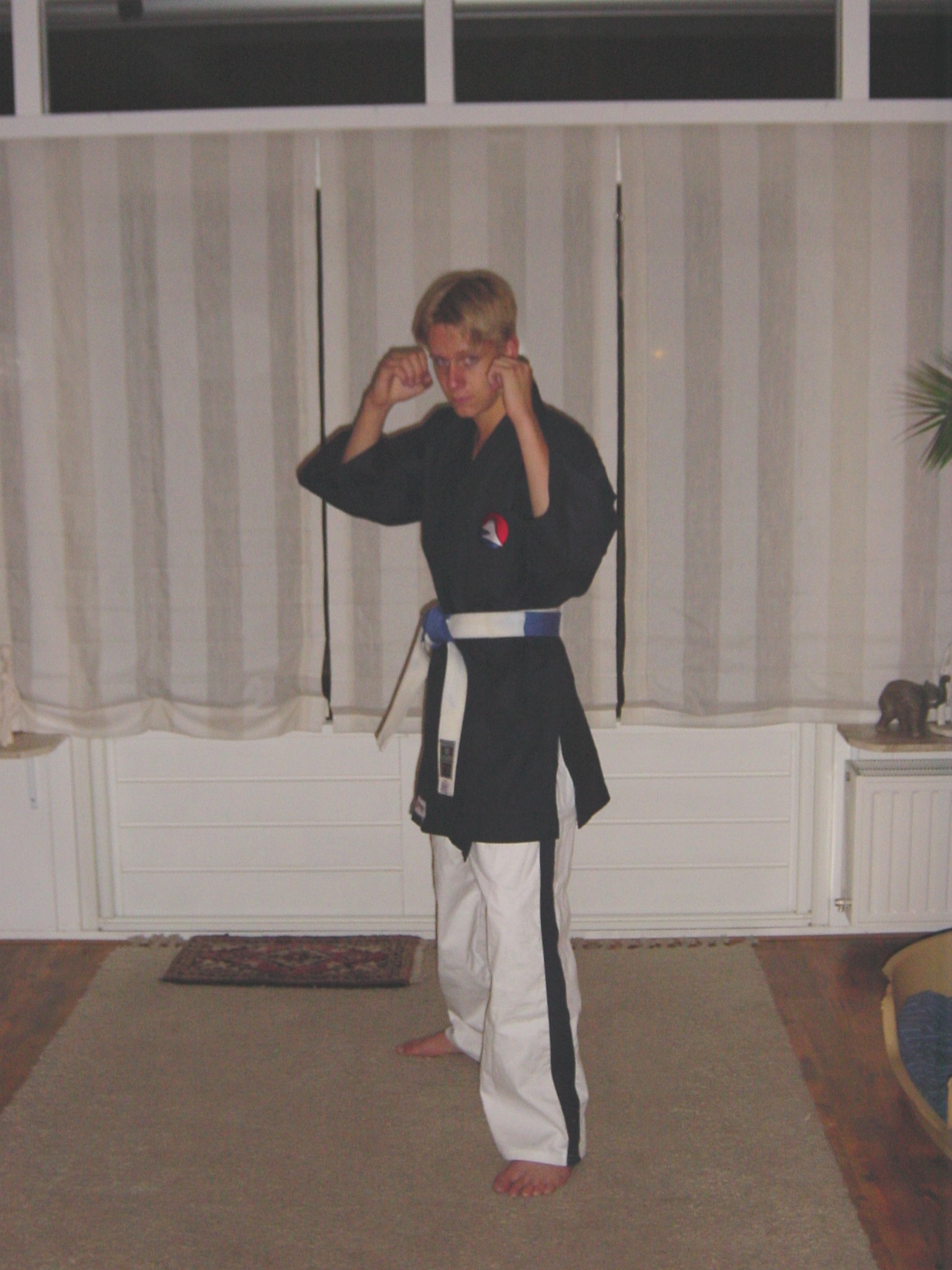 karate-kid.jpg (503364 bytes)